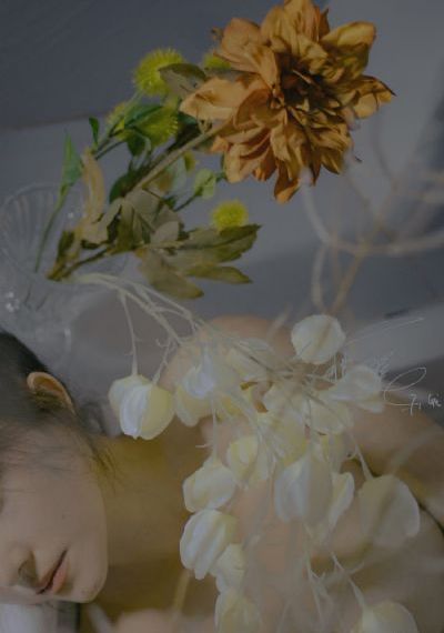 路人女主的养成方法在线观看_蓝光韩国电影在线观看